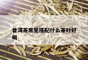 普洱茶常见搭配什么茶叶好喝