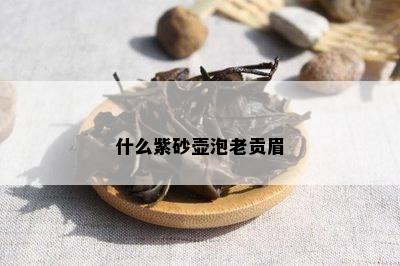 什么紫砂壶泡老贡眉