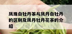 凤珠白牡丹茶与凤丹白牡丹的区别及凤丹牡丹花茶的介绍