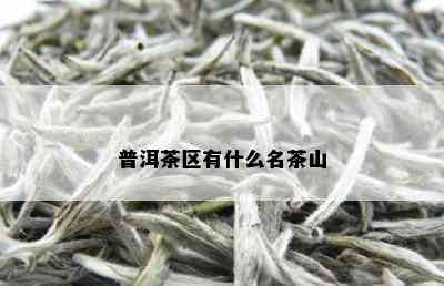 普洱茶区有什么名茶山