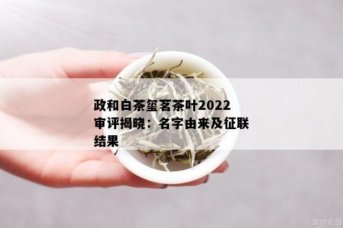 政和白茶玺茗茶叶2022审评揭晓：名字由来及征联结果