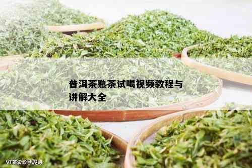 普洱茶熟茶试喝视频教程与讲解大全