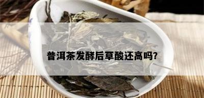 普洱茶发酵后草酸还高吗？