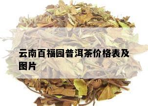 云南百福园普洱茶价格表及图片