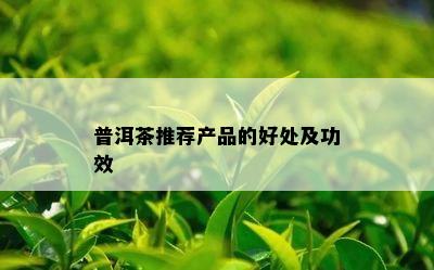 普洱茶推荐产品的好处及功效