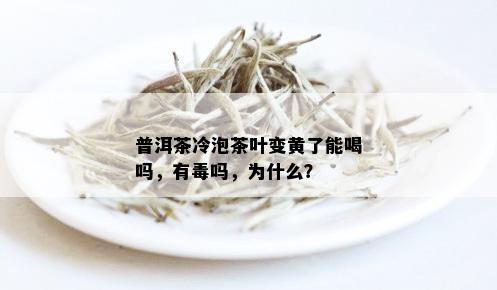 普洱茶冷泡茶叶变黄了能喝吗，有吗，为什么？