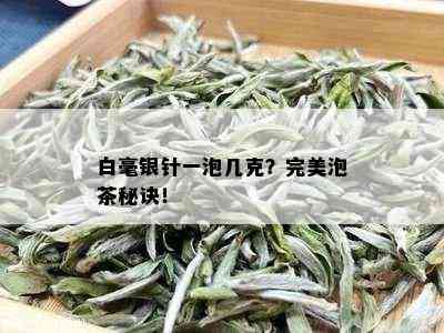 白毫银针一泡几克？完美泡茶秘诀！