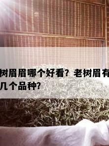 树眉眉哪个好看？老树眉有几个品种？