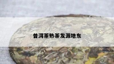 普洱茶熟茶发源地东