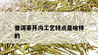 普洱茶开沟工艺特点是啥样的