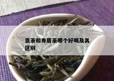 贡茶和寿眉茶哪个好喝及其区别