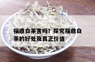 福鼎白茶害吗？探究福鼎白茶的好处及真正价值