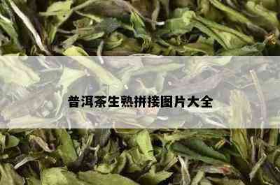 普洱茶生熟拼接图片大全