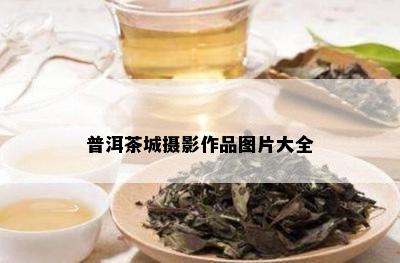 普洱茶城摄影作品图片大全