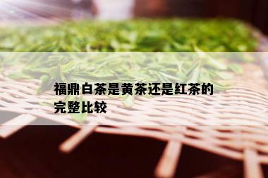 福鼎白茶是黄茶还是红茶的完整比较