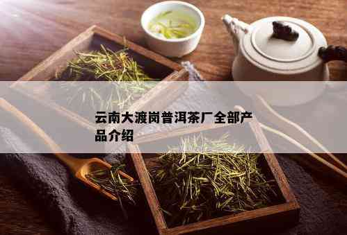 云南大渡岗普洱茶厂全部产品介绍