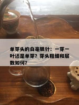 单芽头的白毫银针：一芽一叶还是单芽？芽头粗细和层数如何？