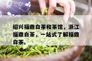 绍兴福鼎白茶和茶馆，浙江福鼎白茶，一站式了解福鼎白茶。