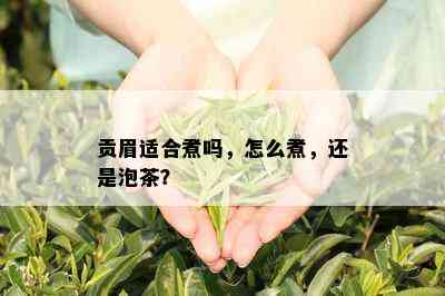 贡眉适合煮吗，怎么煮，还是泡茶？