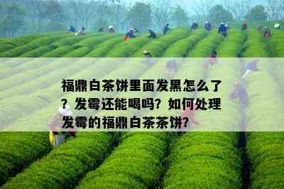 福鼎白茶饼里面发黑怎么了？发霉还能喝吗？如何处理发霉的福鼎白茶茶饼？