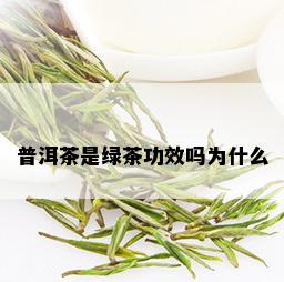 普洱茶是绿茶功效吗为什么