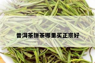 普洱茶饼茶哪里买正宗好