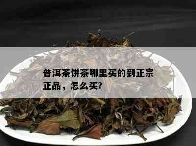 普洱茶饼茶哪里买的到正宗正品，怎么买？