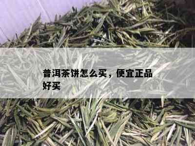 普洱茶饼怎么买，便宜正品好买