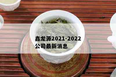 鑫龙源2021-2022公司最新消息