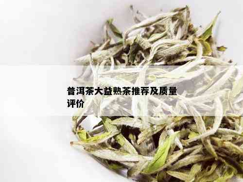 普洱茶大益熟茶推荐及质量评价