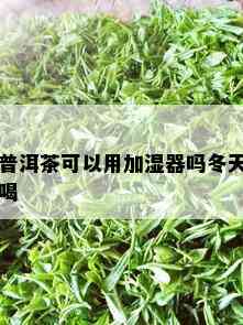 普洱茶可以用加湿器吗冬天喝