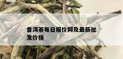 普洱茶每日报价网及最新批发价格