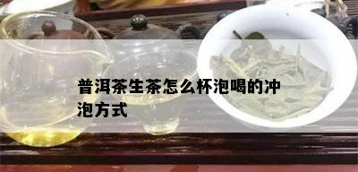 普洱茶生茶怎么杯泡喝的冲泡方式