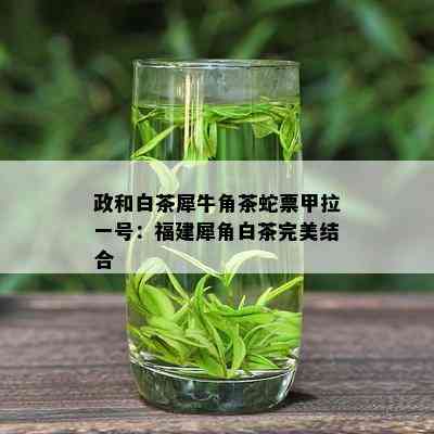 政和白茶犀牛角茶蛇票甲拉一号：福建犀角白茶完美结合