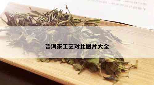 普洱茶工艺对比图片大全