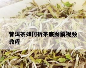 普洱茶如何拆茶底图解视频教程