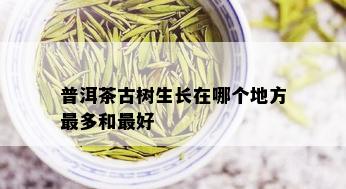 普洱茶古树生长在哪个地方最多和更好