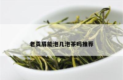 老贡眉能泡几泡茶吗推荐