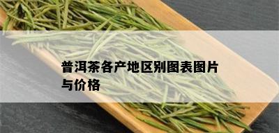 普洱茶各产地区别图表图片与价格