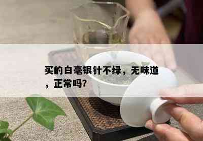 买的白毫银针不绿，无味道，正常吗？