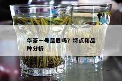 华茶一号是眉吗？特点和品种分析