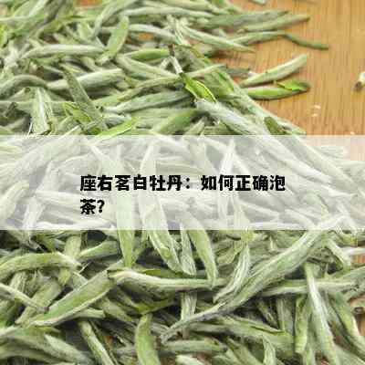 座右茗白牡丹：如何正确泡茶？