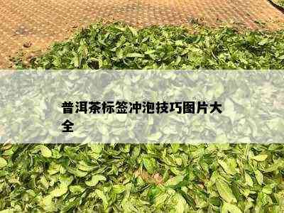 普洱茶标签冲泡技巧图片大全