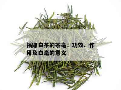 福鼎白茶的茶毫：功效、作用及白毫的意义