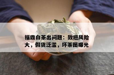 福鼎白茶出问题：致癌风险大，假货泛滥，坏茶图曝光