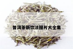 普洱茶新饮法图片大全集