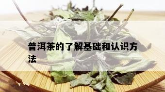 普洱茶的了解基础和认识方法