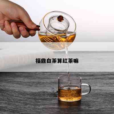 福鼎白茶算红茶嘛