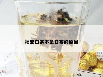 福鼎白茶不是白茶的原因