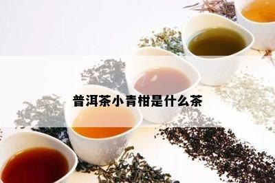 普洱茶小青柑是什么茶